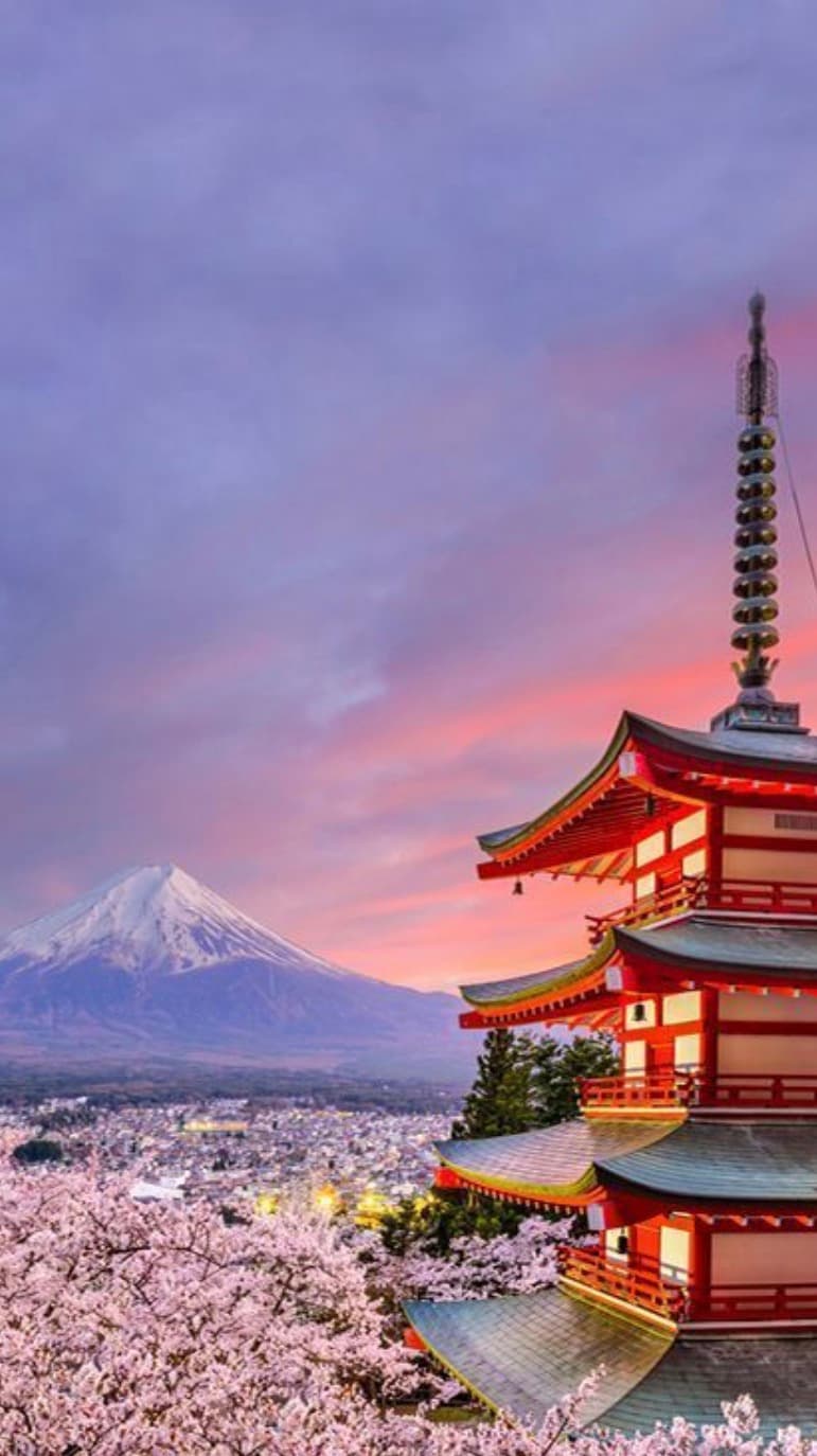 test Dog inquiry buttons