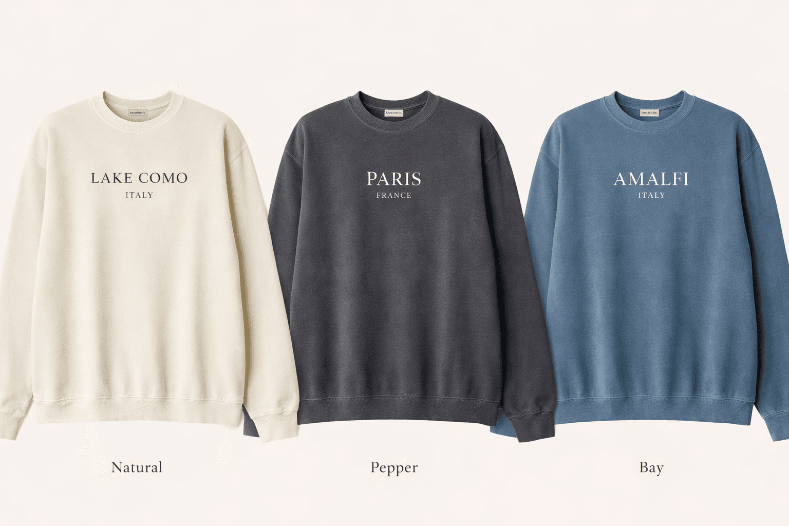 Doggy the Bichon Frise